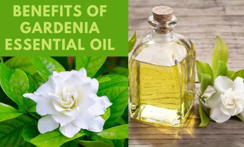 Gardenia Essential Oil, Benefits of Gardenia Essential Oil