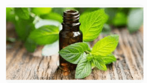 Essential Oils for Relaxation