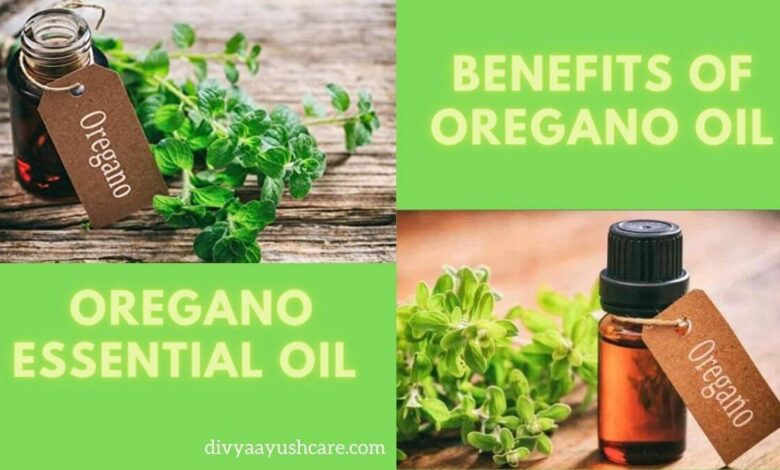 Benefits and Uses of Oregano Oil, Oregano oil